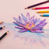Pentel Arts Watercolor Pencil Set, 12 Color Set (CB9-12)...