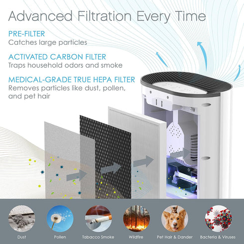 Pure Enrichment Genuine 3-in-1 True HEPA Replacement Filter for the PureZone Air Purifier (PEAIRPLG)...