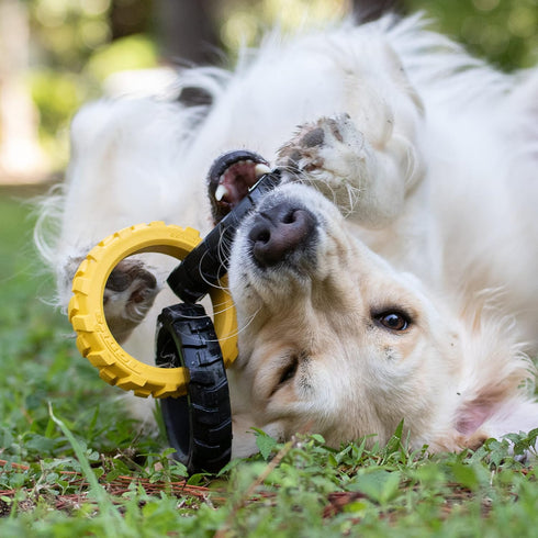 Tonka Rubber 3-Ring Tug Dog Toy, Lightweight, Durable and Water Resistant, 10.5 Inches, for Medium/Large Breeds, Single Unit, Yellow/Black...