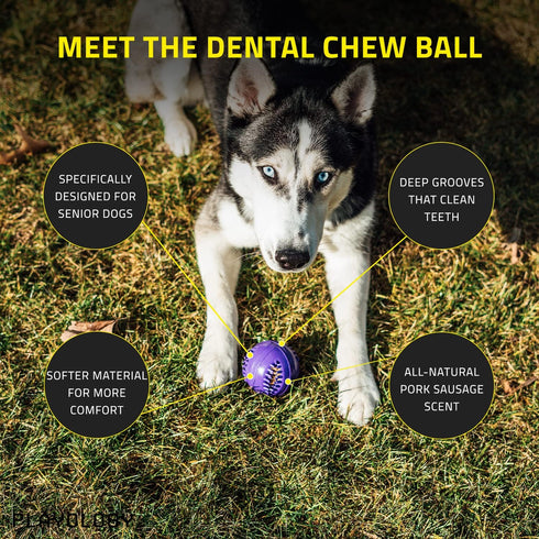 Playology Silver - Dental Chew Ball Dog Toy, Large - Designed for Senior Dogs (35lbs and Up) - Engaging All-Natural Pork Sausage Scent - Non-Toxic...