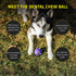 Playology Silver - Dental Chew Ball Dog Toy, Large - Designed for Senior Dogs (35lbs and Up) - Engaging All-Natural Pork Sausage Scent - Non-Toxic...