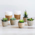 Set of 5 Succulents Fake Plants Bedroom Aesthetic Small Fake Plants Bathroom - Mini Fake Plants Decor for Office Desk Decor - Tiny Realistic Fake ...