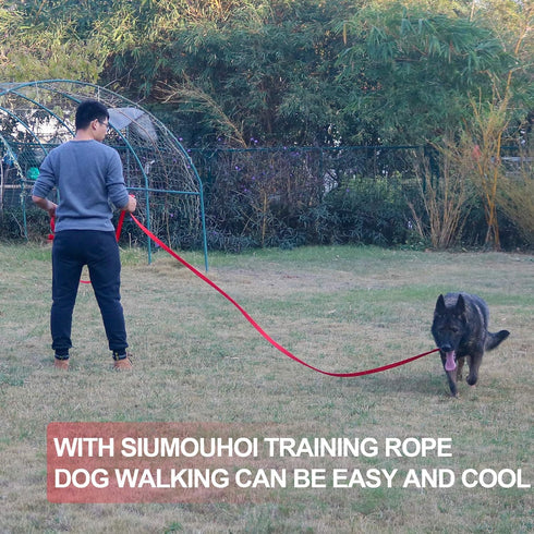 Dog/Puppy Obedience Recall Training Agility Lead-15 ft 20 ft 30 ft 40 ft 50 ft Long Leash -for Training Leash, Play, Safety, Camping,or Backyard (...