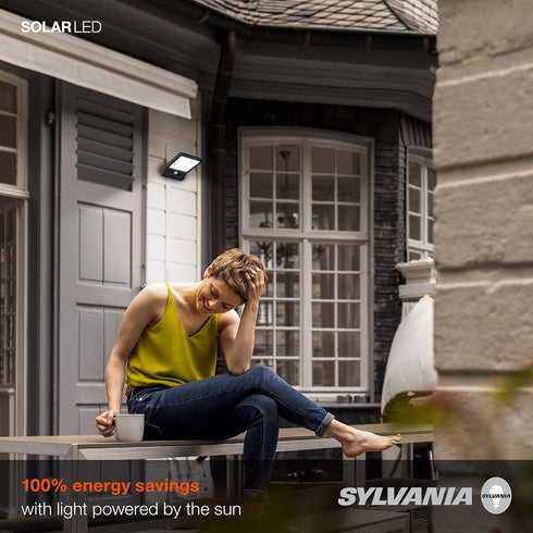 SYLVANIA Solar Flood Light Luminaire with Daylight Sensor, LED and Battery Included, 5000K, Daylight, Black Finish - 1 Pack (65000)...