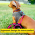 Dog Leash Retractable,Sturdy, Heavy-Duty, Tangle-Free, Soft,Anti-Slip Handle & Easy One Hand Brake for Puppy, Small, Medium, Large Breeds Dogs (Pi...