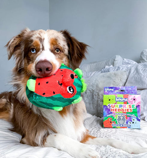 Outward Hound Surprise Hedgies Dog Toys - Unbox and Surprise! Collect all 3 Grunting Hedgies Dog Toys!...