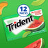 Trident Watermelon Twist Sugar-Free Chewing Gum, 12 Packs of 14 Pieces (168 Total Pieces)...