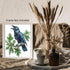 Posterizer 1 pcs-detailed natural history illustration of a raven-Corvus corax 2-Art for Animal Lovers-Gift for Men Women Teens-Chic Home Decor- u...