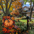 Fall Pumpkin Garden Flag, Autumn Thanksgiving Maple Leaf Garden Flag, Yard Home Decor Welcome Flag, 12x18 Inch Double Sided Burlap, Outdoor Lawn F...