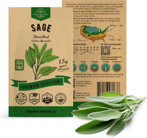 Sage Seeds Pack 1.5 G - Over 250 Non-GMO Heirloom Sage Seeds for Planting Herbs in Individual Seed Packet, Herbs Seeds for Planting Home Garden In...