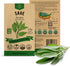 Sage Seeds Pack 1.5 G - Over 250 Non-GMO Heirloom Sage Seeds for Planting Herbs in Individual Seed Packet, Herbs Seeds for Planting Home Garden In...