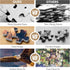 Jigsaw Puzzles for Adults 500 Pieces, Eagle Puzzles for Kids Teens Elderly Interlock Perfectly Letter on Back No Dust, Home Decor Family Fun Puzzl...