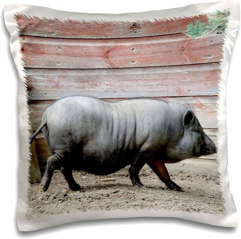 3dRose Adult black pot pellied pig walking on farm. - Pillow Case, 16 by 16-inch (pc_189061_1)...