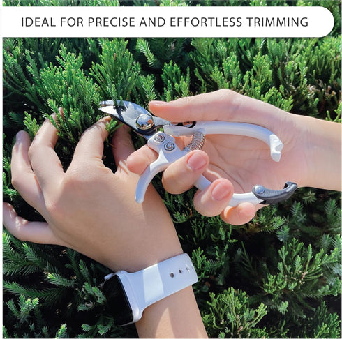 Bypass Pruning Shears Hand Pruner Garden Trimming Scissors Plant Trimmers Herb Snips Flower Clippers Ergonomic Handle Modern Garden Tools...