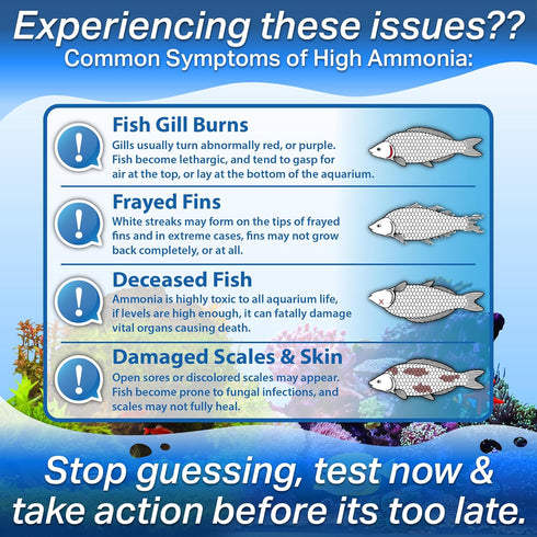 Ammonia Test Strips for Freshwater & Saltwater Fish Tank - Testing Strips for Fresh & Salt Water Aquarium - Lab Grade Water Tester Kit - 100 Count...