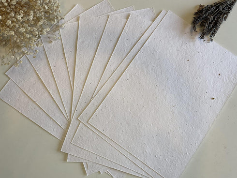 25 x A5 Plantable Seed Paper/Card - Print at Home Craft Paper with Wildflower Seed Mix...
