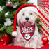 ADOGGYGO 2 Pack Dog Bandana Christmas Classic Buffalo Plaid Dog Scarf Pet Triangle Bibs Christmas Costume Accessories for Small Medium Large Dogs ...