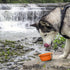 Mighty Paw Collapsible Travel Dog Bowl Set - Silicone Food and Water Bowls - Bonus Carabiner Clip - Ideal Hiking Bowl - Camping - Walking - Lightw...