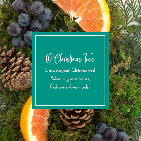 Scentsicles O Christmas Tree Bottle Bundle, Model:01631-001T...