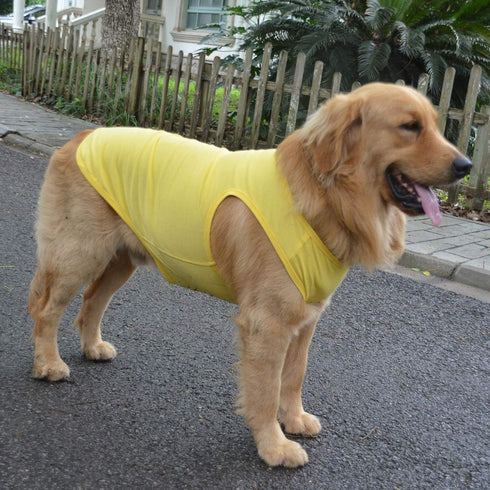 2018 Pet Clothes Dog Clothing Blank T-shirt Tanks Top Vests for Small Middle Large Size Dogs 100% Cotton Dog Summer Vest Classic (M, Yellow)...