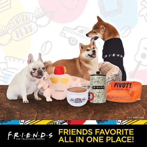 WB Friends: V-Day Love Food Canvas Squeaker Pet Toy - 2PC | Friends Joey & Pizza Dog Toy 2PC Canvas Squeakers| Friends “Better Together“ Toy for D...