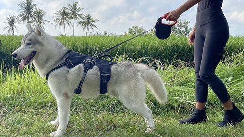 Tuff Pupper Heavy Duty Retractable Dog Leash | 16 ft Dog Leash with Reflective Stitching for Nighttime Safety | One Button Lock and Release | Comf...