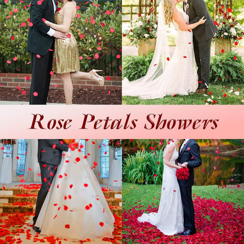 3000 Pcs Silk Rose Petals,Red Rose Flower Petals Decorations, Fake Rose Petals Roses Artificial Flowers Petals for Wedding, Valentines , Romantic ...