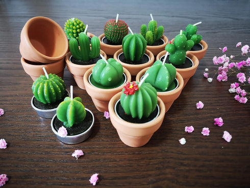 Succulent Candles, Novelty Cactus Tealight Candle Baby Shower Candle Decorations for Party Favors Terrarium Cacti candels Home Decor…...
