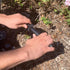 IdeaWorks JB7356 Solar Paw Print Outdoor Lights, Black...