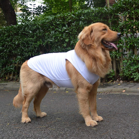 2018 Pet Clothes Dog Clothing Blank T-shirt Tanks Top Vests for Small Middle Large Size Dogs 100% Cotton Dog Summer Vest Classic (XL, White)...