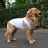 2018 Pet Clothes Dog Clothing Blank T-shirt Tanks Top Vests for Small Middle Large Size Dogs 100% Cotton Dog Summer Vest Classic (XL, White)...