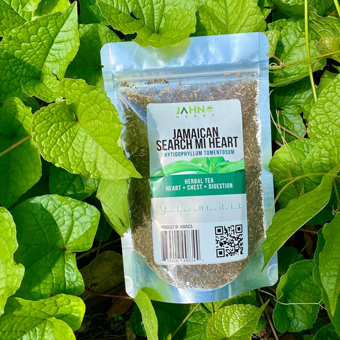 Jamaican Search Mi Heart Herb 2 oz, Rhytidophyllum Tomentosum...