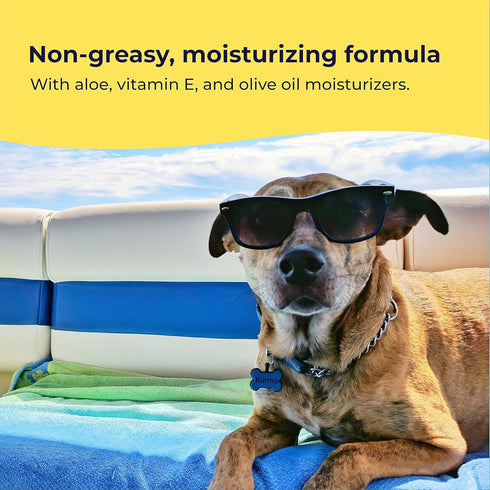 Dog Sunscreen - SPF 30+ With Skin Moisturizing Vitamin E and Olive Oil - No Zinc Oxide Safe for All Dogs and Cats - Dog Beach Accessories, Dog Cam...