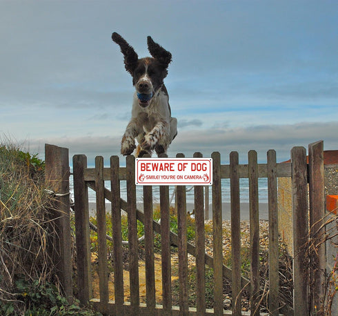 Beware of Dog Sign for Fence and Yard (2 Pack) Smile You are on Camera Aluminum Metal Warning Signs for House Indoor or Outdoor Use for Fence Door...