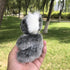 5" Plush Koala Bear Simulation Stuffed Animal Toy Doll...