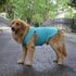 2018 Pet Clothes Dog Clothing Blank T-shirt Tanks Top Vests for Small Middle Large Size Dogs 100% Cotton Dog Summer Vest Classic (XXL, Turquoise)...