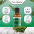 Viva Doria 100% Pure Moroccan Rosemary Essential Oil, Undiluted, Food Grade, 30 mL (1 Fluid Ounce)...