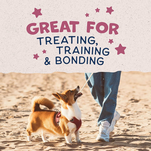 Natural Balance Limited Ingredient Rewards Crunchy Biscuits, Bite-Size Grain-Free Dog Treats for Small-Breed Dogs, Made with Real Venison, 8 Ounce...