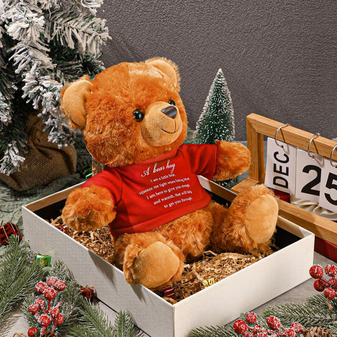 2 Pcs Little Bear Plush Stuffed Animal Sympathy Gifts Memory Bear with a Bear Hug Sign Funeral Gift for Kids Bereavement Comfort Child Loss of Lov...