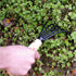 KAKURI Japanese Hand Cultivator Garden Tool, Heavy Duty Japanese Hand Forged Carbon Steel, Small Hand Rake for Weeding, Digging, Cultivating, Leaf...