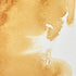 Winsor & Newton Professional Water Colour Paint, 1.25-oz Tube, Raw Sienna...