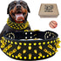 teemerryca Sturdy Wide Black PU Leather Gold Spiked Dog Collars with a Squeak Ball for Medium Large Breed Boy Pet, Pit bulls/Bulldog/Boxer/Doberma...