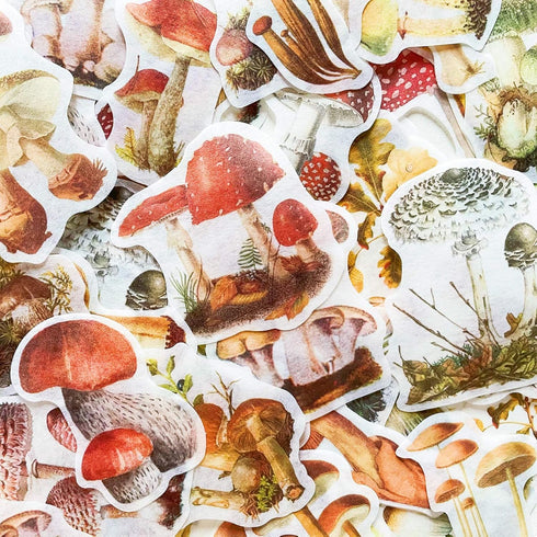 60PCS Mushroom Laptop Stickers Decals, Doraking DIY Mushroom Plants Decoration Stickers Decals for Windows, Refrigerator, Decoration (Mushroom Col...
