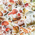 60PCS Mushroom Laptop Stickers Decals, Doraking DIY Mushroom Plants Decoration Stickers Decals for Windows, Refrigerator, Decoration (Mushroom Col...