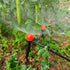 1/4" Drip Irrigation Emitters, Yulaiyoen 1/4-inch Spray Emitters 30 Pack, Automatic Drip Irrigation Parts Accessories, 360 Degree Drip Irrigation ...