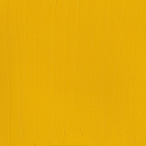 Winsor & Newton Professional Acrylic Paint, 60ml (2-oz) Tube, Cadmium Yellow Medium...