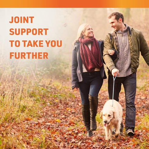 Turmeric and Ginger Supplement - Tumeric Curcumin Joint Support Pills - with Apple Cider Vinegar & BioPerine Black Pepper - 95% Curcuminoids - 60 ...