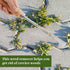 2 Packs Weed Puller Tool Set Stainless Steel Hand Lawn Weed Remover Crack Crevice Weeding Tool Manual Yard Gardening Tool with Wood Handle for Sid...