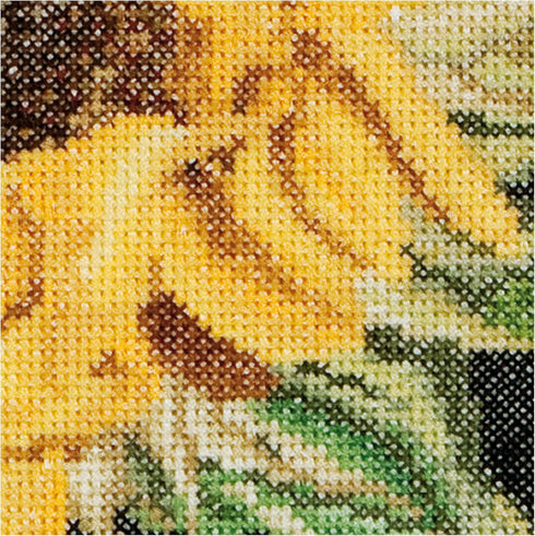Thea Gouverneur - Counted Cross Stitch Kit - Sunflower - Aida - 18 count - Embroidery Kit for Adults - DMC Embroidery Threads and other Cross Stit...