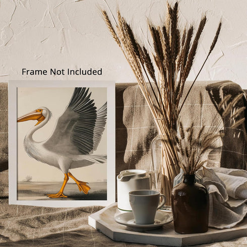 Posterizer 1 pcs-White Pelican detailed art work 1-Art for Animal Lovers-Collectibles & Fine Art-Decor for Home & Office- unframed wall art...